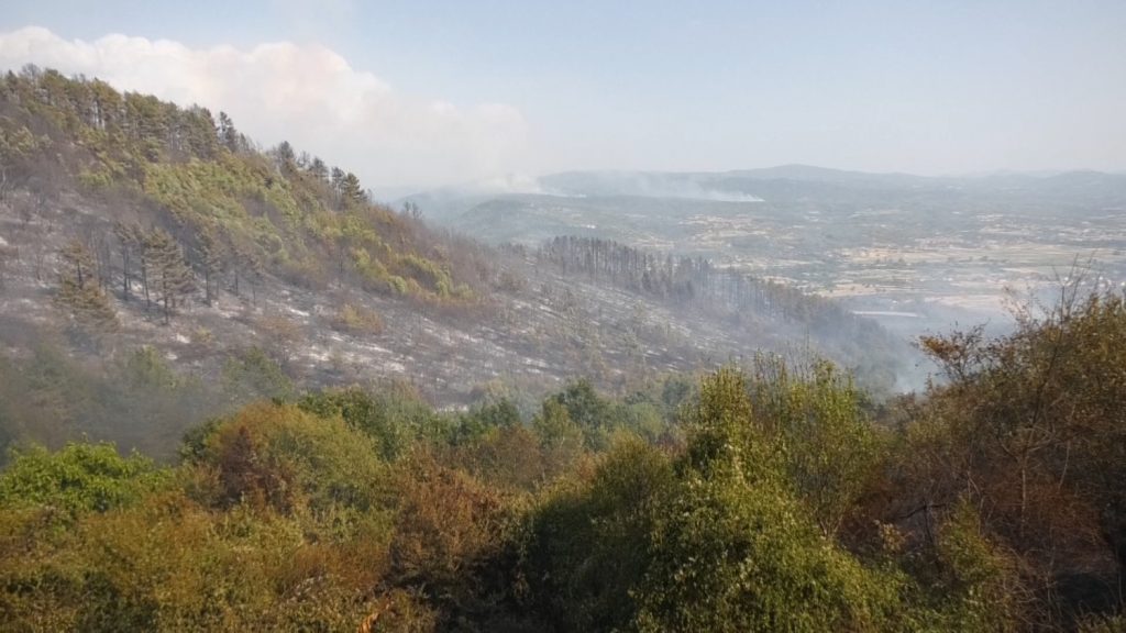 Na sednici Štaba za vanredne situacije u Vranju usvojena tri važna dokumenta