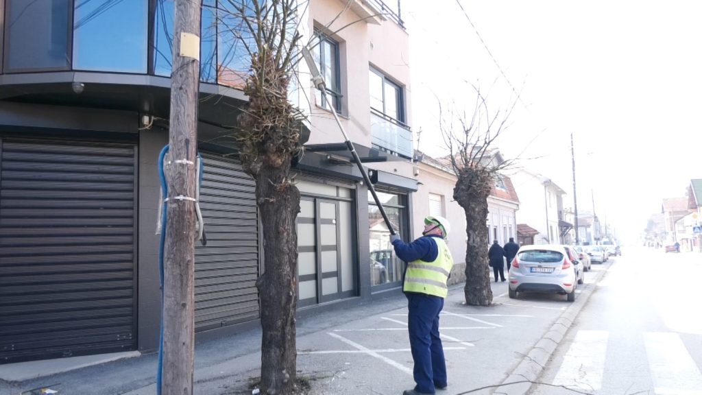 U toku je orezivanje stabala u širem centru grada i uređivanje zelenih površina