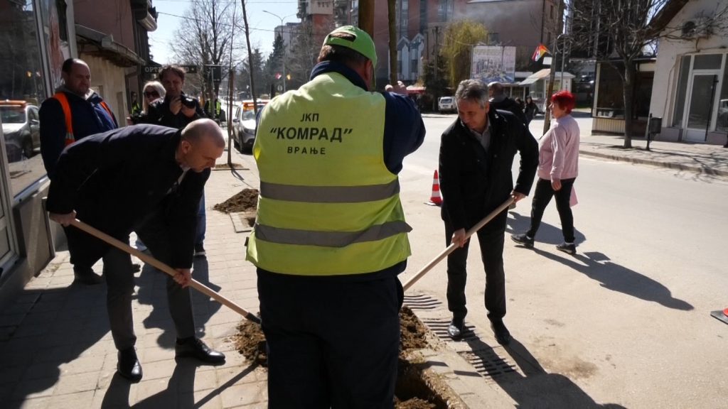 U okviru akcije ozelenjavanja Grada Vranja BAT donirao 140 sadnica platana