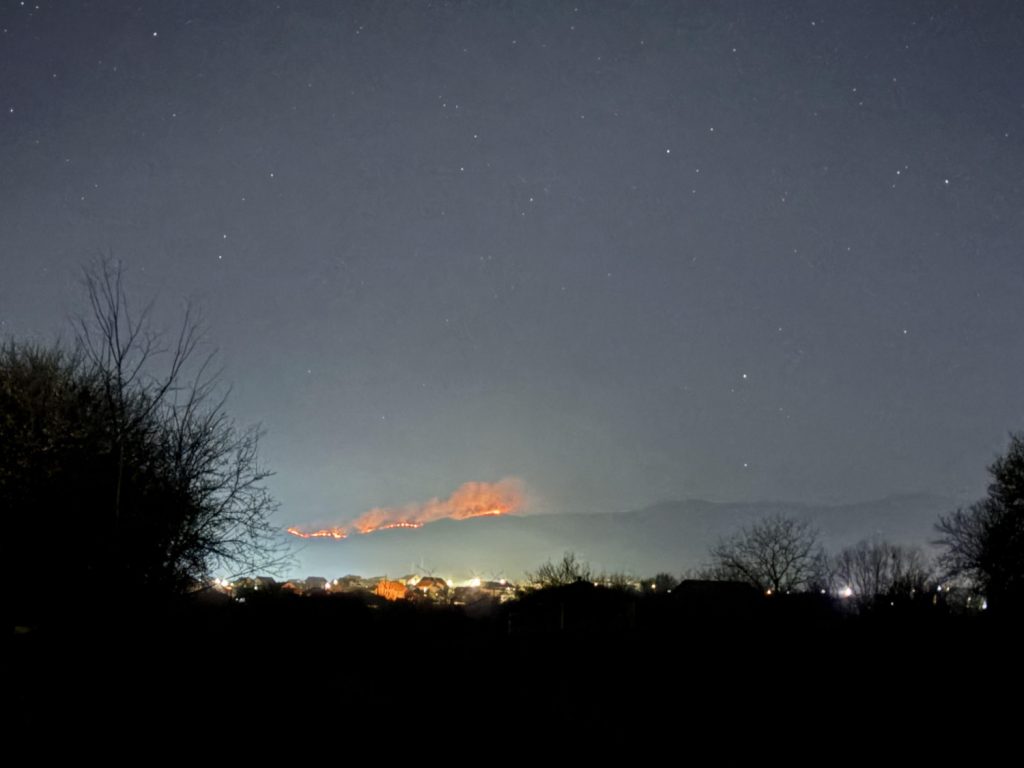 Gori hrastova šuma kod sela Vrtogoš
