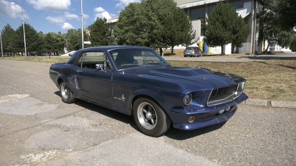 Mustang iz Amerike pronašao put ka Vranju