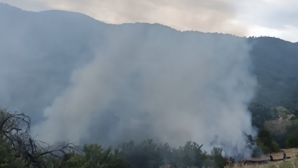 Lokalizovan požar u selu Milivojce