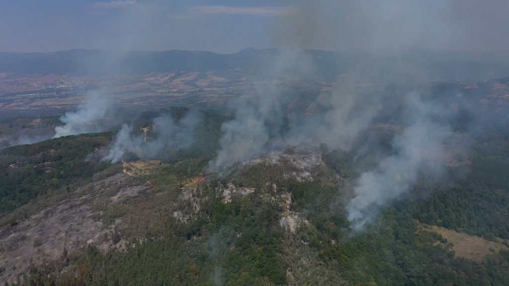 Požar u selu Lukovo nadomak Vranja širi se prema šumi