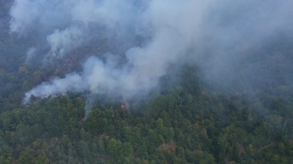 U okolini Vranja i dalje borba sa vatrenom stihijom