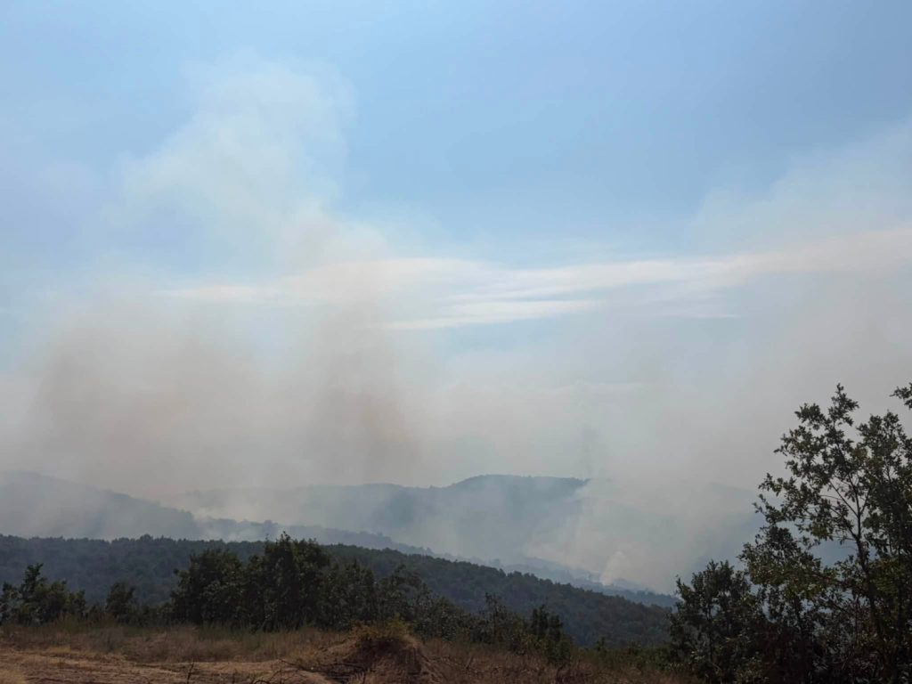Zbog požara uvedena vanredna situacija na delu teritorije Bujanovca